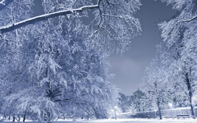 Ontario Winters Demand Better: Why We Recommend MOOVAIR Heat Pumps