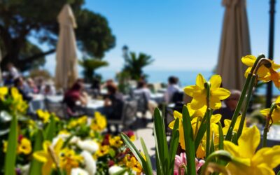 Upgrade Before the Heat: The Benefits of Planning Your AC Installation This Spring